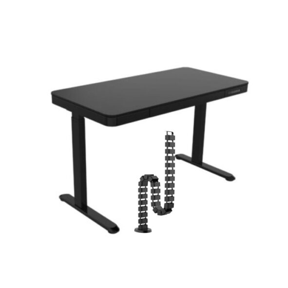 Standing Desk + Organizador de cable (Retiro en deposito)